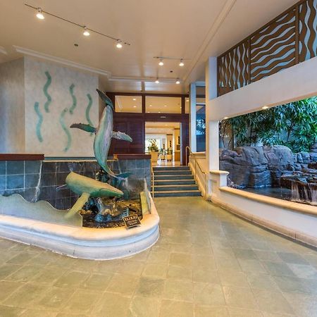 @ Marbella Lane - Oceanview Suite Steps To Beach ホノルル エクステリア 写真